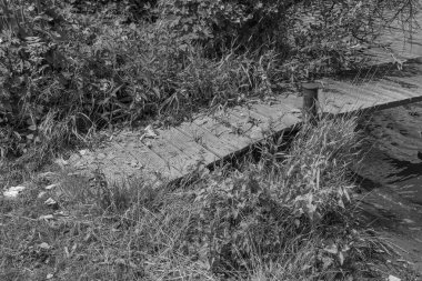 Almanya 'da Potsdam şehri ve çevresi