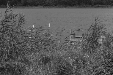 Almanya 'da Potsdam şehri ve çevresi