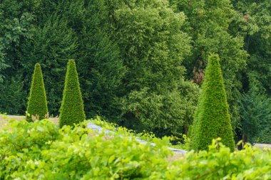 Almanya 'da Potsdam şehri ve çevresi