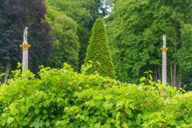 Almanya 'da Potsdam şehri ve çevresi