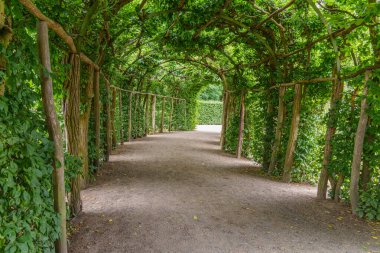 Almanya 'da Potsdam şehri ve çevresi