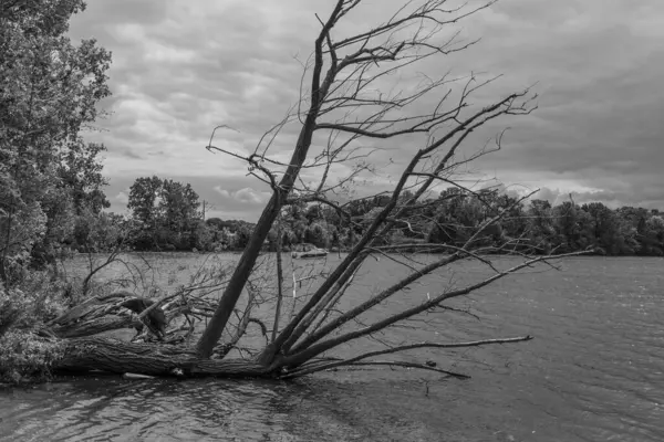 Almanya 'da Potsdam şehri ve çevresi