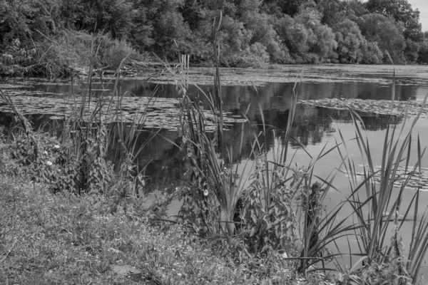 Almanya 'da Potsdam şehri ve çevresi