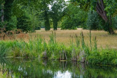 Almanya 'da Potsdam şehri ve çevresi
