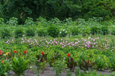 Almanya 'da Potsdam şehri ve çevresi