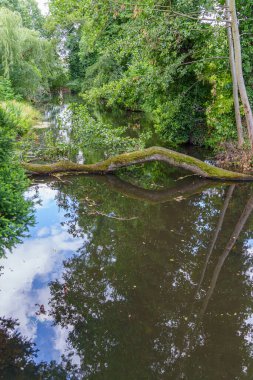 Almanya 'da Potsdam şehri ve çevresi