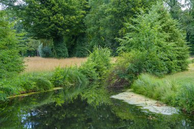 Almanya 'da Potsdam şehri ve çevresi