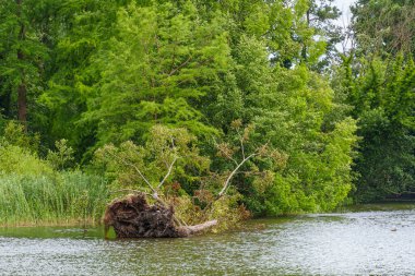 Almanya 'da Potsdam şehri ve çevresi