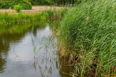 Almanya 'da Potsdam şehri ve çevresi