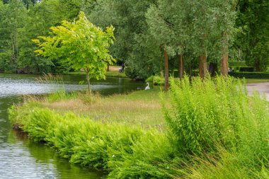Almanya 'da Potsdam şehri ve çevresi