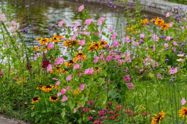 Almanya 'da Potsdam şehri ve çevresi