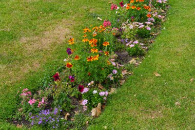 Almanya 'da Potsdam şehri ve çevresi
