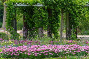 Almanya 'da Potsdam şehri ve çevresi