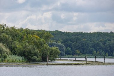 Yaz mevsiminde gölleri olan Potsdam şehri.