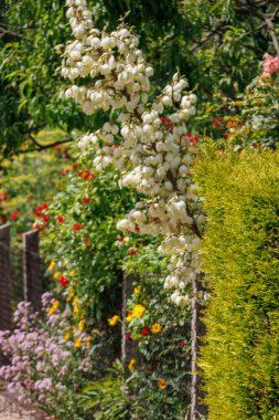 Potsdam şehri ve Germa Brandenburg gölleri