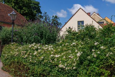 Werder şehri ve Almanya 'da Potsdam yakınlarındaki göller