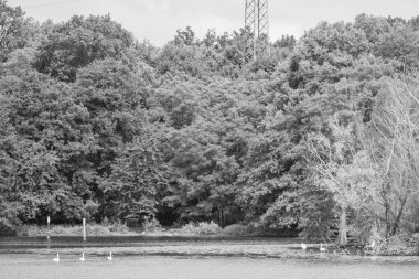 Werder şehri ve Almanya 'da Potsdam yakınlarındaki göller