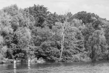 Werder şehri ve Almanya 'da Potsdam yakınlarındaki göller