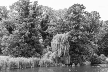 Werder şehri ve Almanya 'da Potsdam yakınlarındaki göller