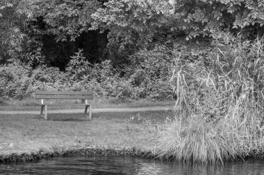 Werder şehri ve Almanya 'da Potsdam yakınlarındaki göller