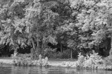 Werder şehri ve Almanya 'da Potsdam yakınlarındaki göller