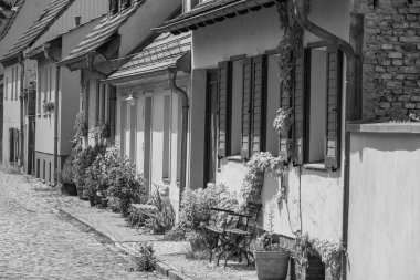 Werder şehri ve Potsdam yakınlarındaki göller.