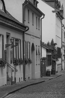 Werder şehri ve Potsdam yakınlarındaki göller.