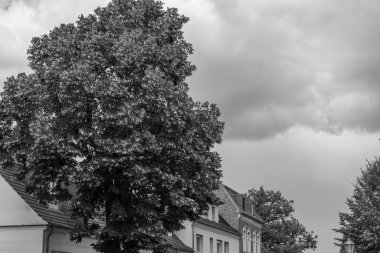 Werder şehri ve Potsdam yakınlarındaki göller.