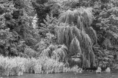 Werder şehri ve Almanya 'da Potsdam yakınlarında göller