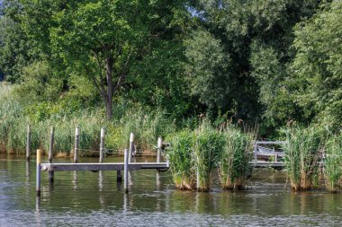 Potsdam ve Werder yakınlarındaki göller.