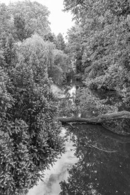 Almanya Brandenburg 'daki potsdam şehri.