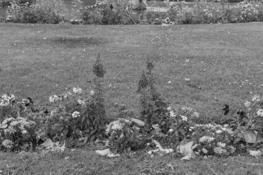 Brandenburg, Almanya 'daki Potsdam şehri