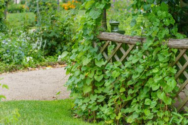 Brandenburg, Almanya 'daki Potsdam şehri