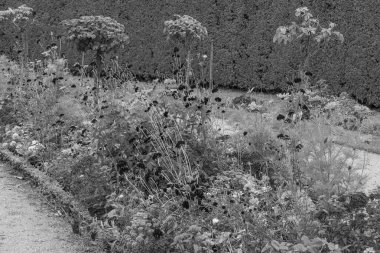 Almanya 'nın Potsdam kenti