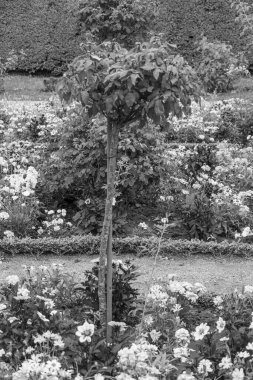 Almanya 'nın Potsdam kenti