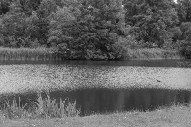 Almanya 'nın Potsdam kenti