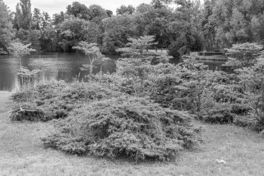 Almanya 'nın Potsdam kenti