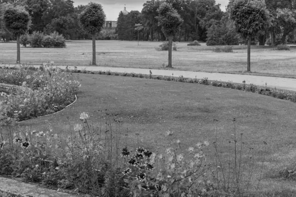 Almanya Brandenburg 'daki potsdam şehri.