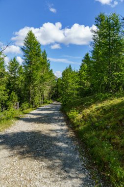 Avusturalya Alplerinde Carinthia