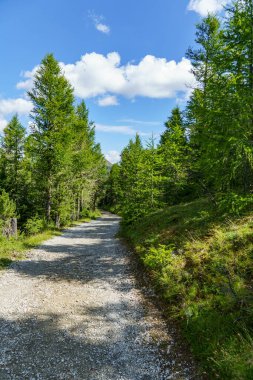 Avusturalya Alplerinde Carinthia