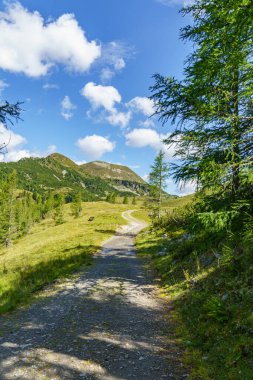 Avusturalya Alplerinde Carinthia