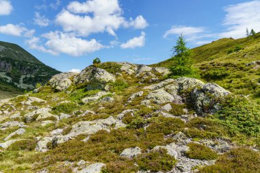 Avusturalya Alplerinde Carinthia