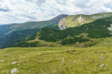 Avusturya Alpleri 'nde Carinthia' da yürüyüş