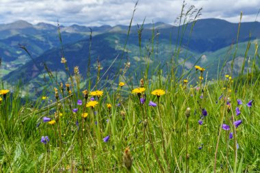 Avusturya Alpleri 'nde Carinthia' da yürüyüş
