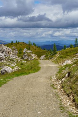 Avusturya Alpleri 'nde Carinthia' da yürüyüş