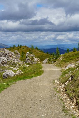 Avusturya Alpleri 'nde Carinthia' da yürüyüş