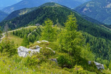 Avusturya Alpleri 'nde Carinthia' da yürüyüş