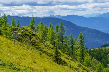 Avusturya Alpleri 'nde Carinthia' da yürüyüş