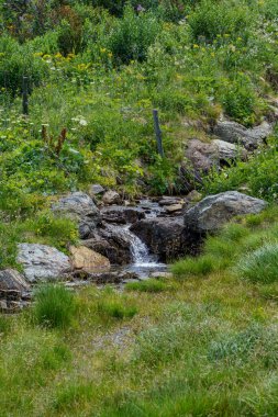 Avusturya Alpleri 'nde Carinthia' da yürüyüş