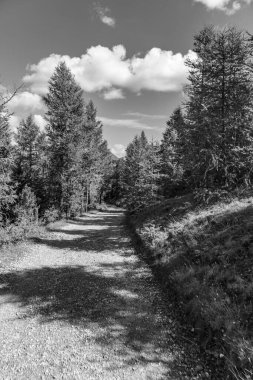 Avusturya Alpleri 'nde Carinthia' da yürüyüş